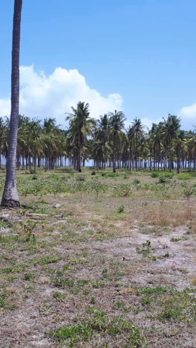 Plot for sale in Kigamboni, Dar Es Salaam