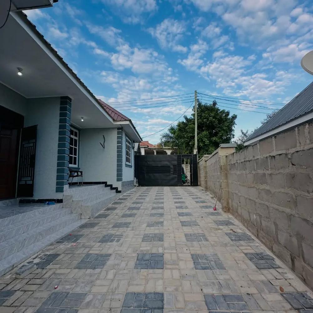 media -5 media -5