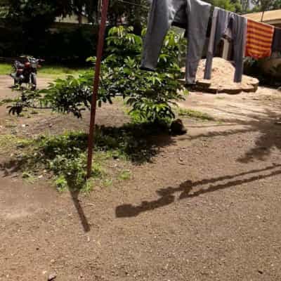 1 Bedroom House for Rent in Ngaramtoni CRDB, Arusha