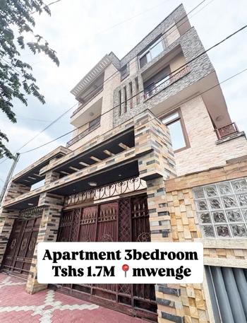 3 Bedrooms Apartment for Rent in Mwenge, Dar Es Salaam