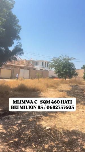 Kiwanja kinauzwa Mlimwa C, Dodoma sqm 460