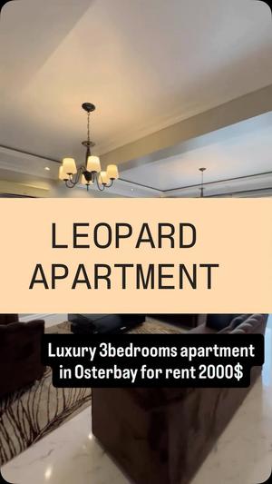 3 Bedrooms Furnished Apartment for Rent in Oysterbay, Dar Es Salaam 3 Bedrooms Furnished Apartment for Rent in Oysterbay, Dar Es Salaam