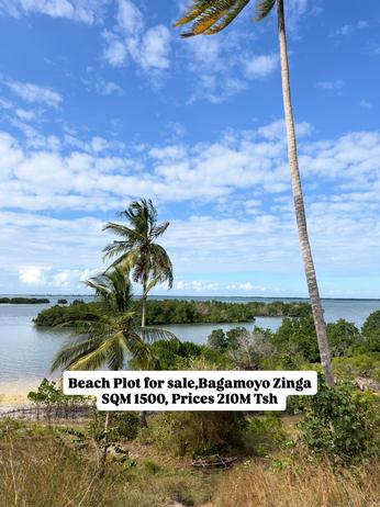 Beach Plot kinauzwa Zinga, Pwani (1500 sqm)