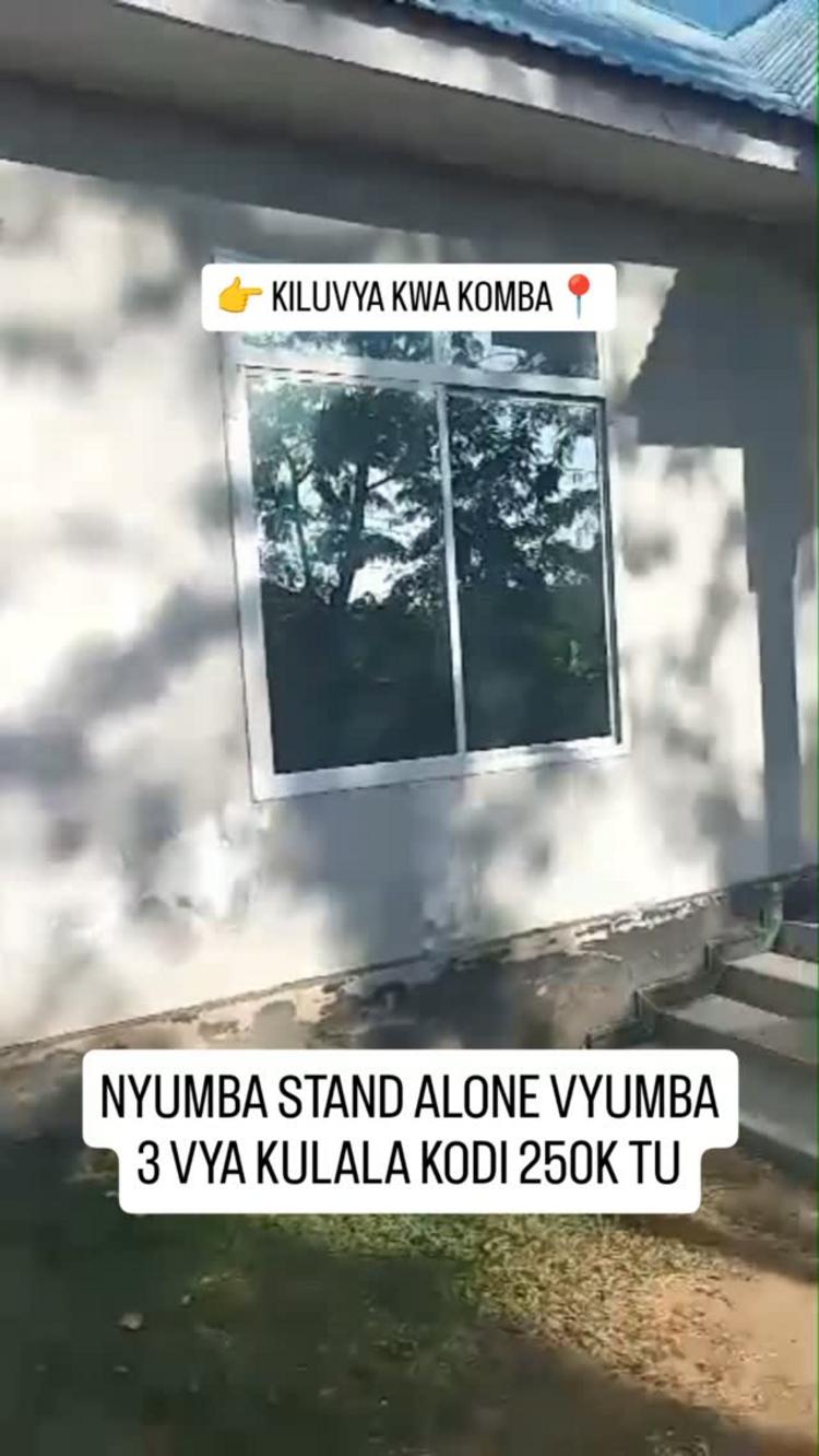 media -1 media -1