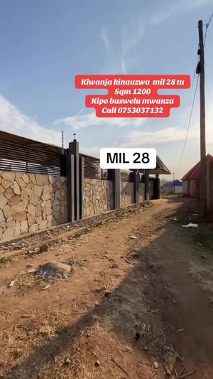 Plot for sale in Mwanza sqm 1200 Plot for sale in Mwanza sqm 1200
