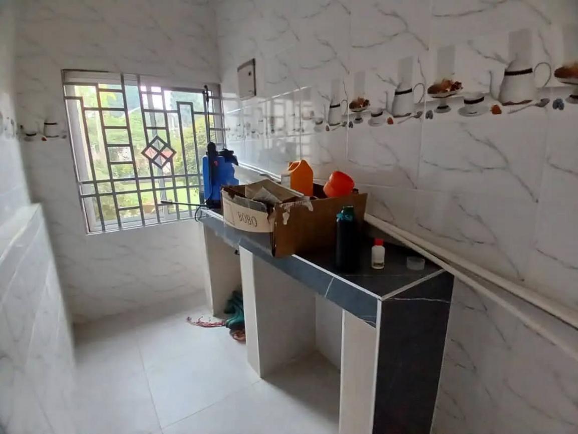 media -6