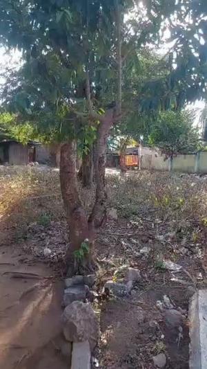 Residential Plot for Sale in Mbezi Mwisho, Dar Es Salaam (404 sqm)