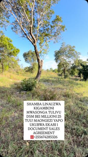 Farm for Sale in Kigamboni Mwasonge, Dar Es Salaam (1 acre)