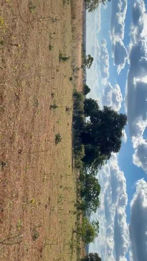 Farm for sale in Masigira, Ruvuma acre 2 Farm for sale in Masigira, Ruvuma acre 2