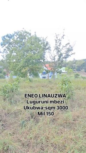 Plot for sale in Luguruni Mbezi, Dar Es Salaam sqm 3000 Plot for sale in Luguruni Mbezi, Dar Es Salaam sqm 3000