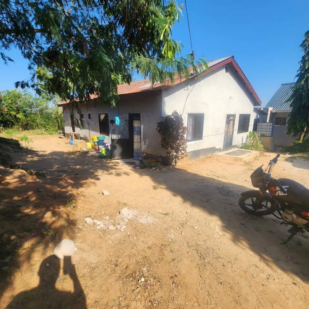 media -7 media -7
