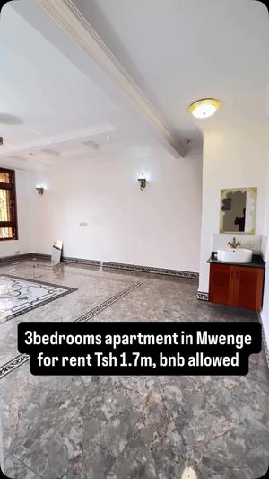 3 Bedrooms Apartment for Rent in Mwenge, Dar Es Salaam 3 Bedrooms Apartment for Rent in Mwenge, Dar Es Salaam