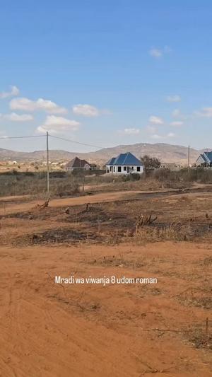 Plots for sale in Udom Romani, Dodoma sqm 800