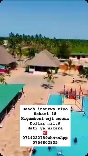 Beach Plot kinauzwa Mji Mwema, Mara (18 acre) Beach Plot kinauzwa Mji Mwema, Mara (18 acre)