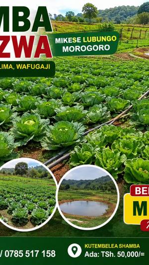 Farm for Sale in Mikese Lubungo, Morogoro