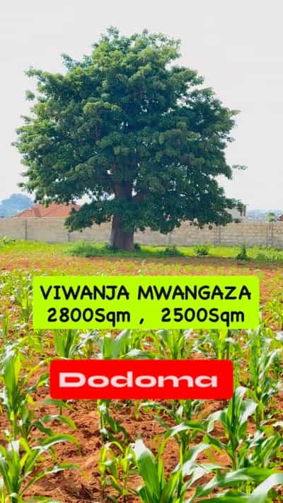 Kiwanja kinauzwa Dodoma (2800 sqm)