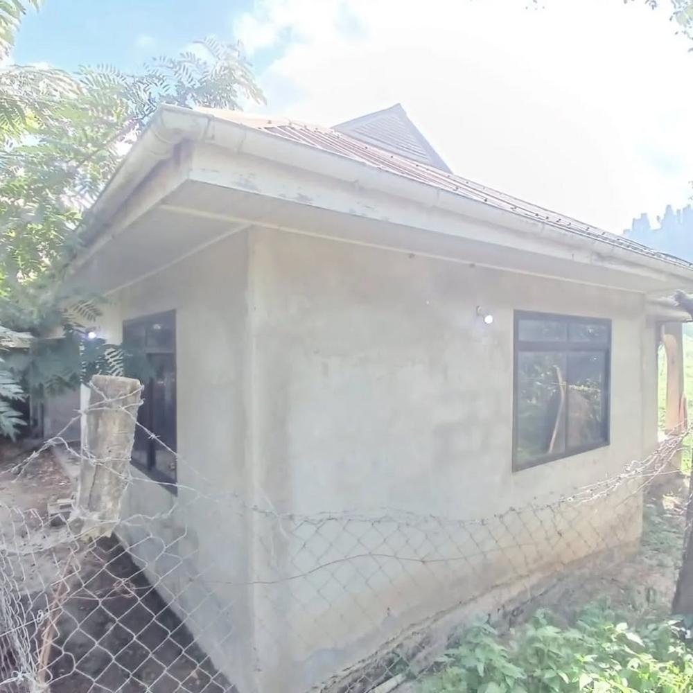 media -4