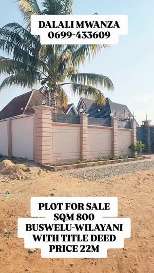 Residential Plot for Sale in Buswelu, Mwanza (800 sqm) Residential Plot for Sale in Buswelu, Mwanza (800 sqm)
