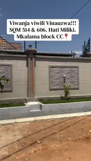Kiwanja kinauzwa Mkalama Block Cc (514 sqm)