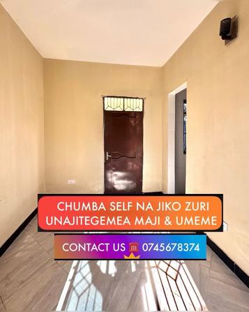 Nyumba ya chumba kimoja inapangishwa Mwanza