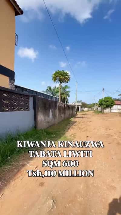 Kiwanja kinauzwa TABATA LIWITI, Dar Es Salaam (600 sqm) Kiwanja kinauzwa TABATA LIWITI, Dar Es Salaam (600 sqm)