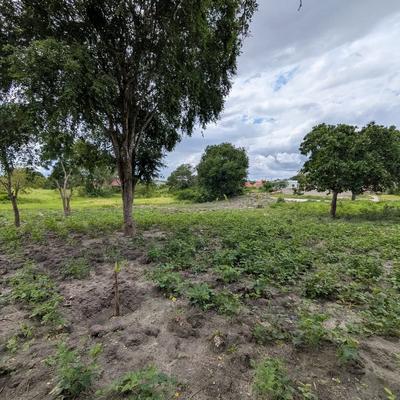 Plot for sale in Kibaha Loliondo, Pwani sqm 600