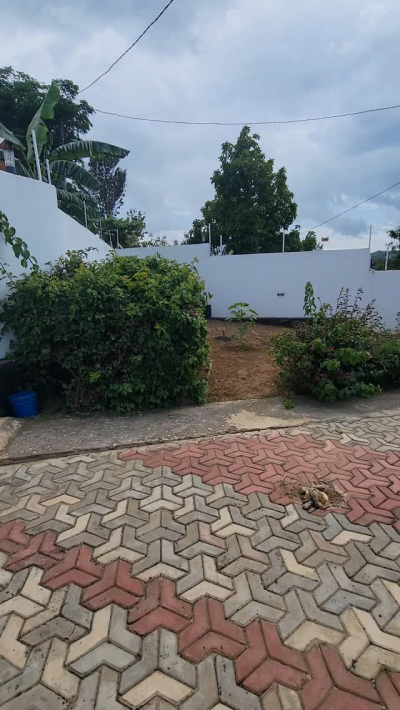 Godown/Ghala linapangishwa Mwangata, Iringa