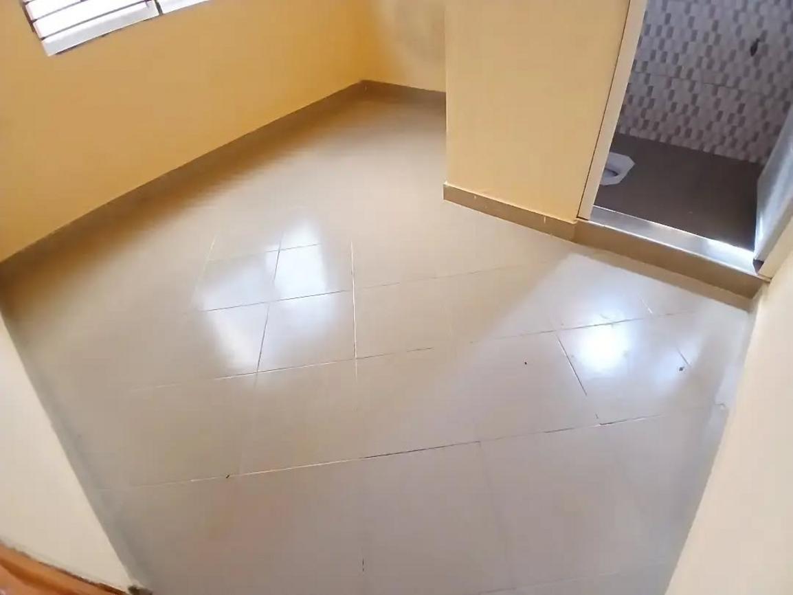 media -7 media -7