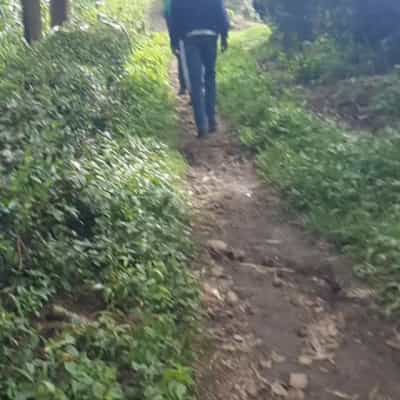 Kiwanja kinauzwa Ngaramtoni, Arusha (1320 sqm)