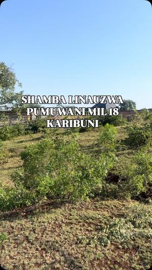 Shamba linauzwa Pumuwani, Kilimanjaro acre 1.25 Shamba linauzwa Pumuwani, Kilimanjaro acre 1.25
