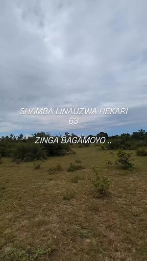 Farm for sale in Zinga, Pwani acre 63 Farm for sale in Zinga, Pwani acre 63