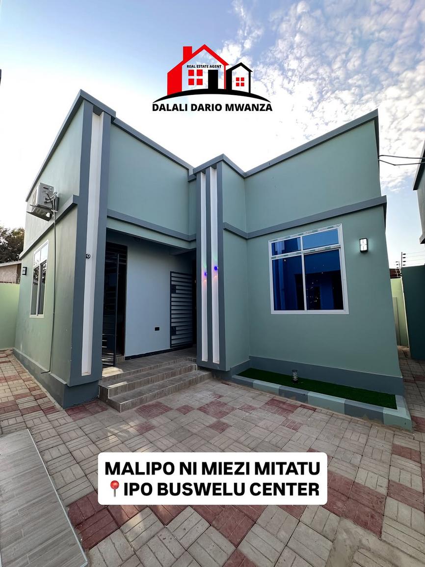  media -1