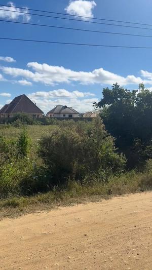Plot for sale in Ipagala North, Dodoma sqm 1984