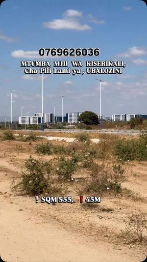 Plot for sale in Mtumba, Magufuli City, Dodoma sqm 555