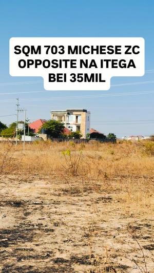 Kiwanja kinauzwa Michese Zc Itega, Dodoma sqm 703