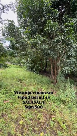 Plots for sale in Salasala, Dar Es Salaam sqm 500 Plots for sale in Salasala, Dar Es Salaam sqm 500