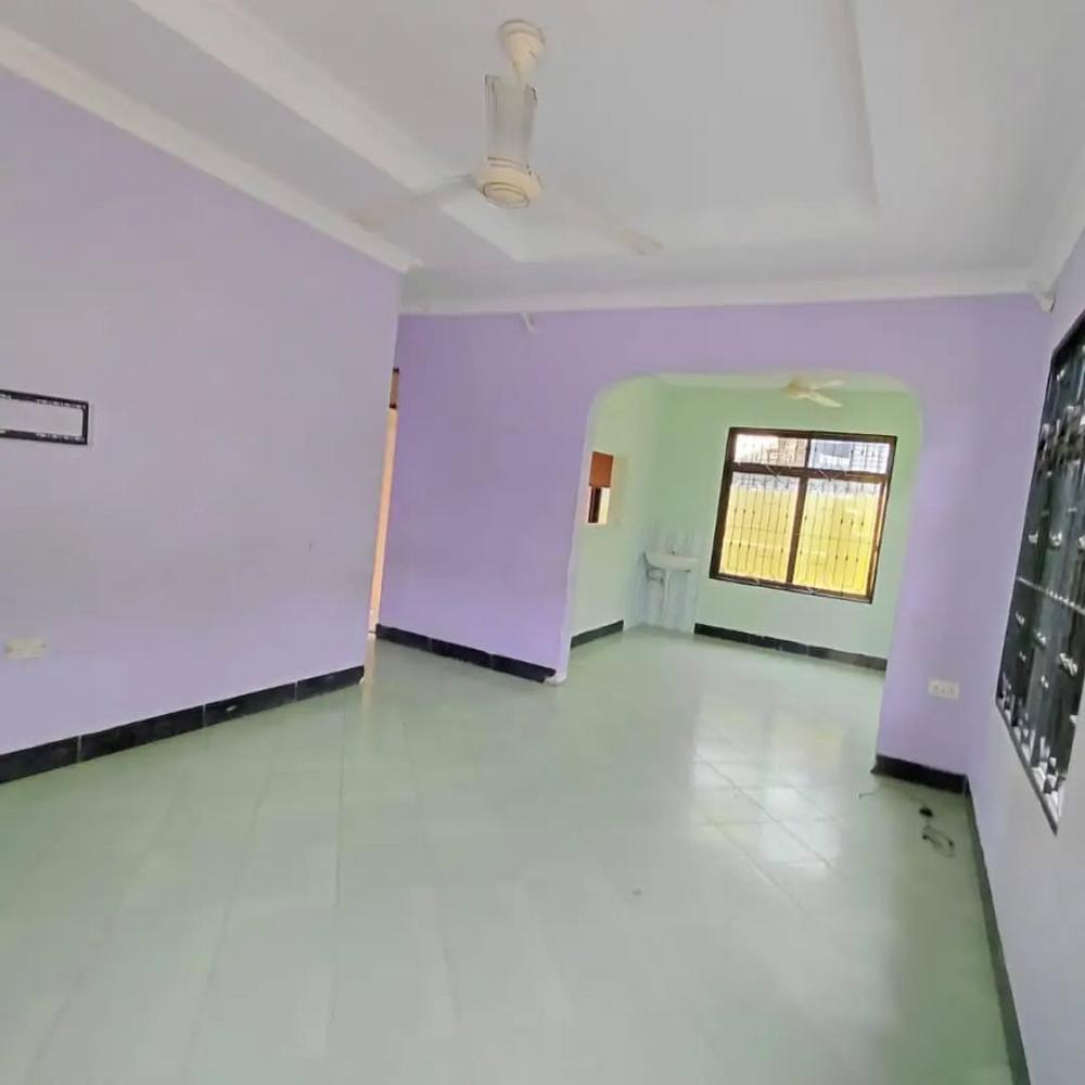 media -5