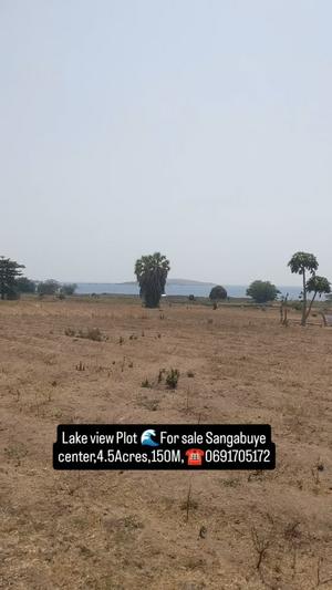 Plot for sale in Sangabuye, Mwanza acre 4.5 Plot for sale in Sangabuye, Mwanza acre 4.5