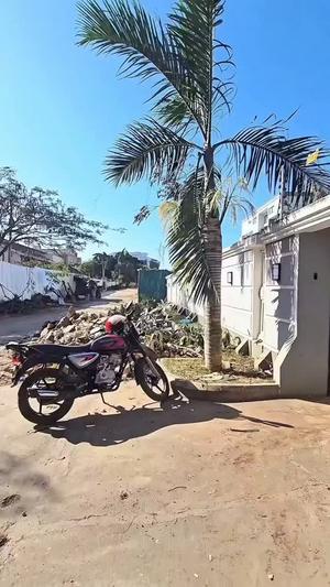 3 Bedrooms House for Rent in Masaki, Dar Es Salaam 3 Bedrooms House for Rent in Masaki, Dar Es Salaam