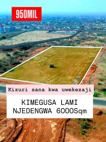 Plot for sale in Njedengwa Investment, Dodoma sqm 6000 Plot for sale in Njedengwa Investment, Dodoma sqm 6000