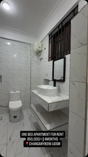 Apartment ya chumba kimoja inapangishwa Changanyikeni UDSM, Dar Es Salaam