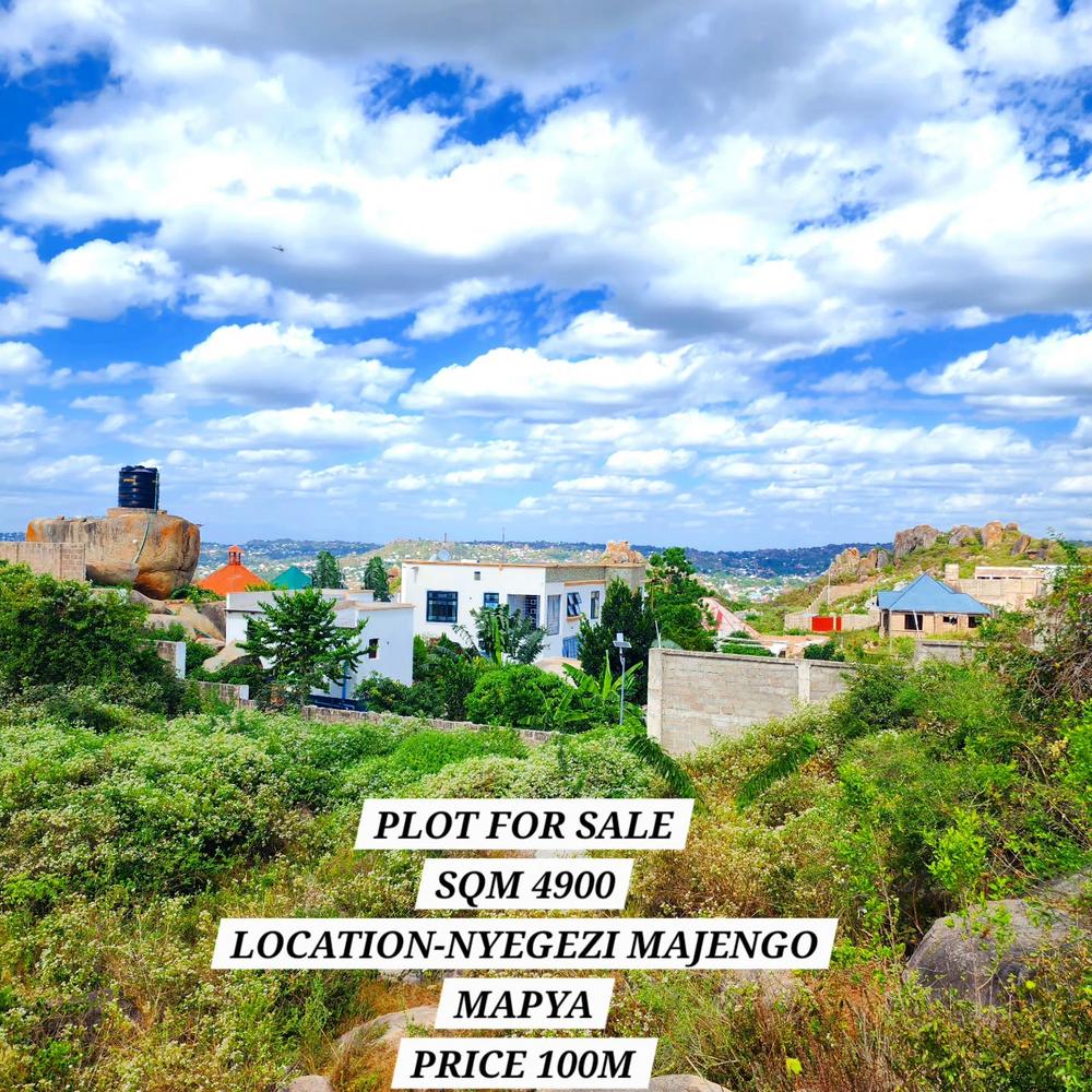 media -1 media -1