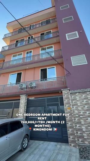 1 Bedroom Apartment for Rent in Kinondoni, Dar Es Salaam