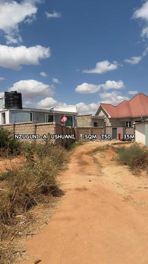 Residential Plot for Sale in Nzuguni A - Ushuarini, Dodoma (750 sqm)