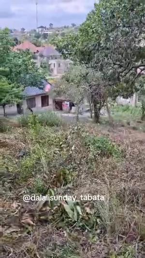 Residential Plot for Sale in Kifuru Malamba Stand, Dar Es Salaam (500 sqm) Residential Plot for Sale in Kifuru Malamba Stand, Dar Es Salaam (500 sqm)