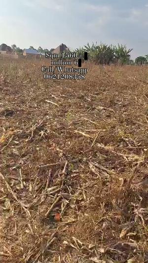 Shamba linauzwa Mliman, Vwawa, Mbimba, Songwe (1560 sqm) Shamba linauzwa Mliman, Vwawa, Mbimba, Songwe (1560 sqm)