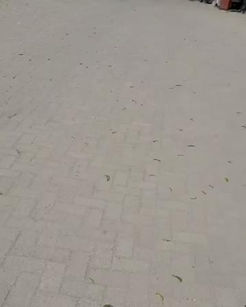 Frame ya Biashara inapangishwa Mapambano, Tabora