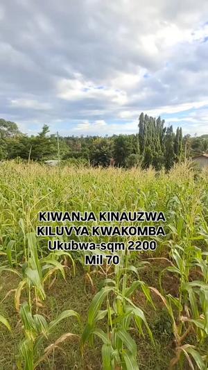Kiwanja kinauzwa Kiluvya Kwakomba, Pwani (2200 sqm)