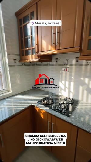 1 Bedroom House for Rent in Mwanza 1 Bedroom House for Rent in Mwanza