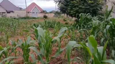 Kiwanja kinauzwa Oyster Bay, Dar Es Salaam (450 sqm)